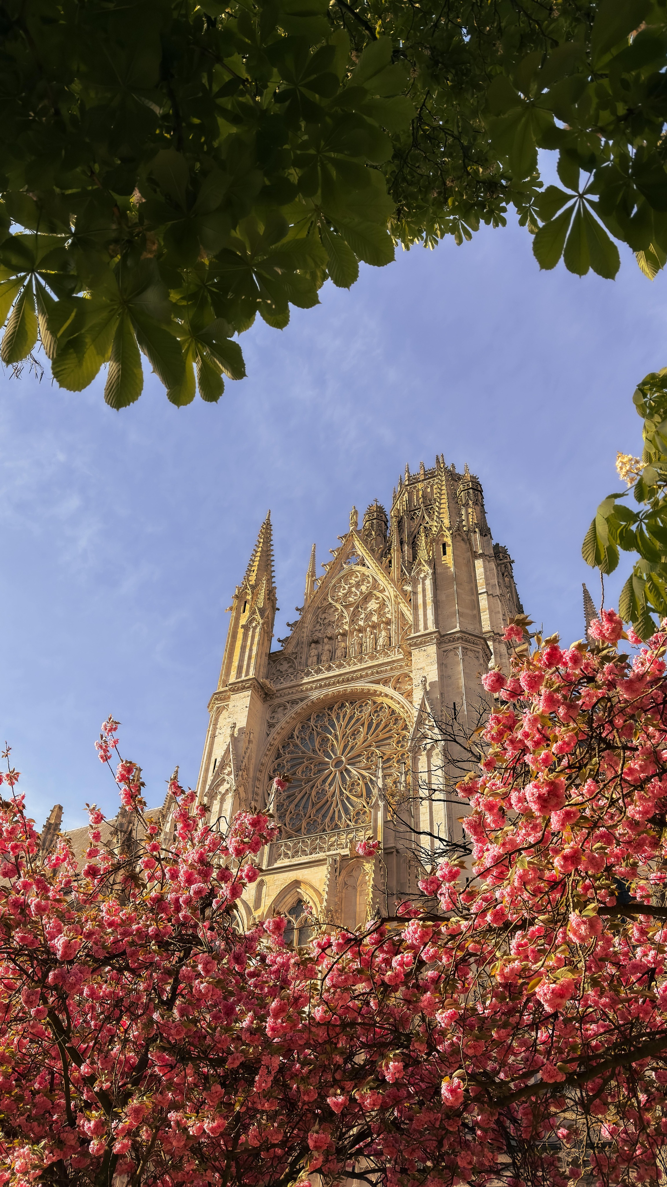 Springtime Beauty In Rouen's Abbey Church Area