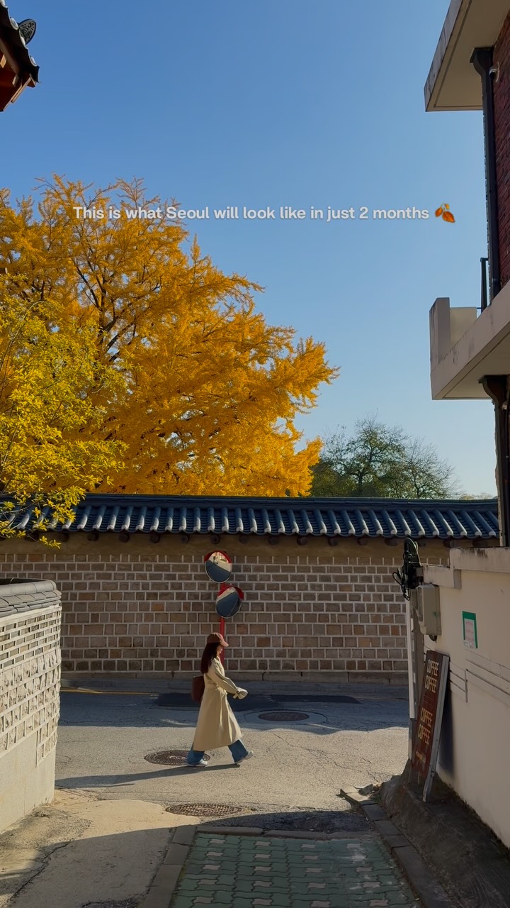 Seoul Destinations For Autumn Foliage Viewing