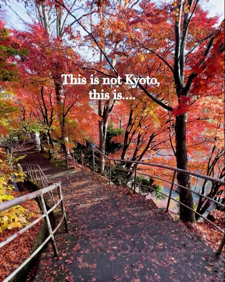 Ibaraki's Diverse Autumn Scenery