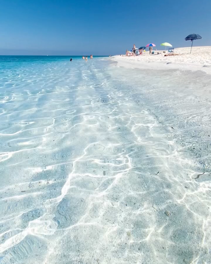 Sardinia's Maimoni Beach For Dogs
