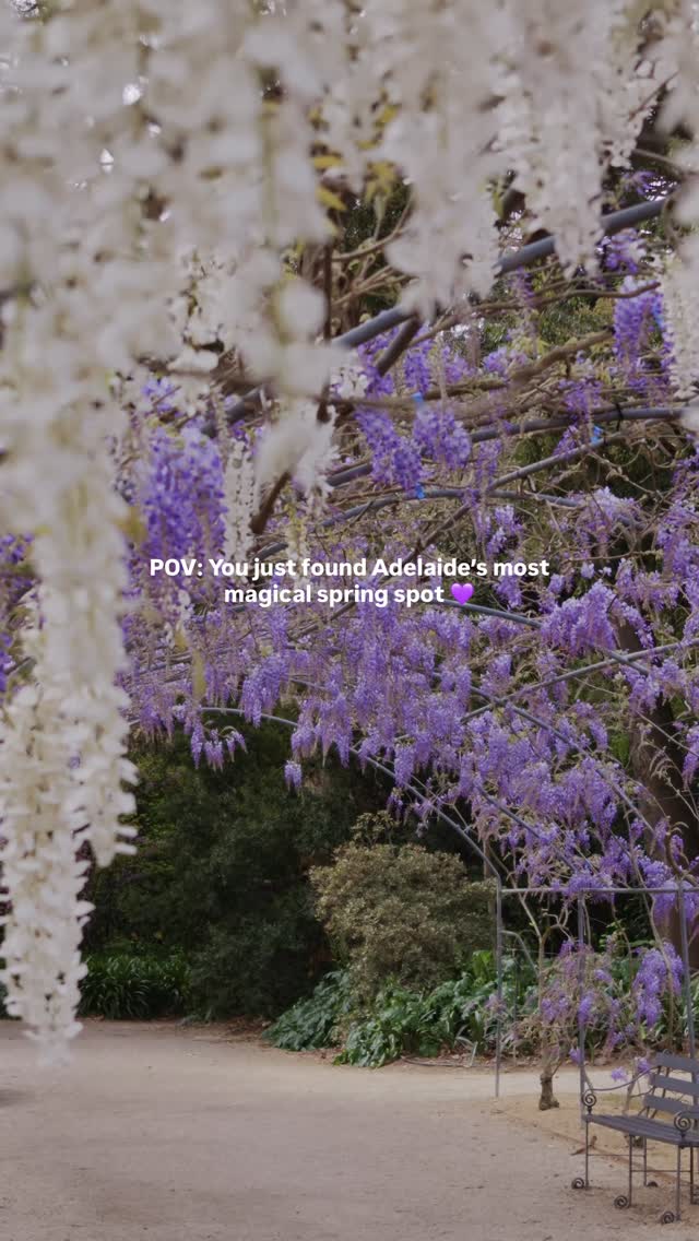 Adelaide Botanic Garden Blooms This Spring