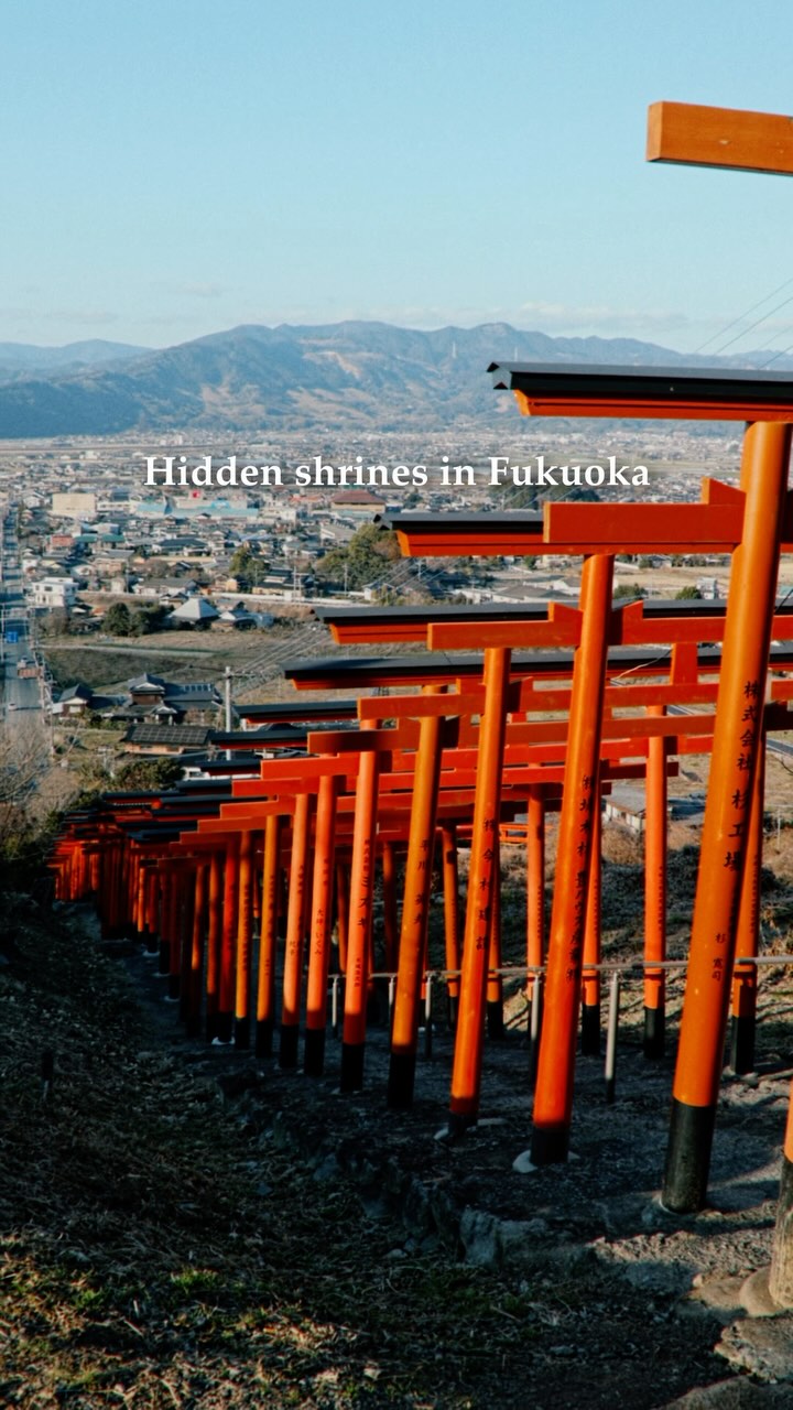 Ukiha Inari Shrine's Torii Gate Path