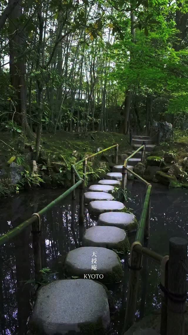 Nanzenji Tenju-an's Serene Greenery and Atmosphere