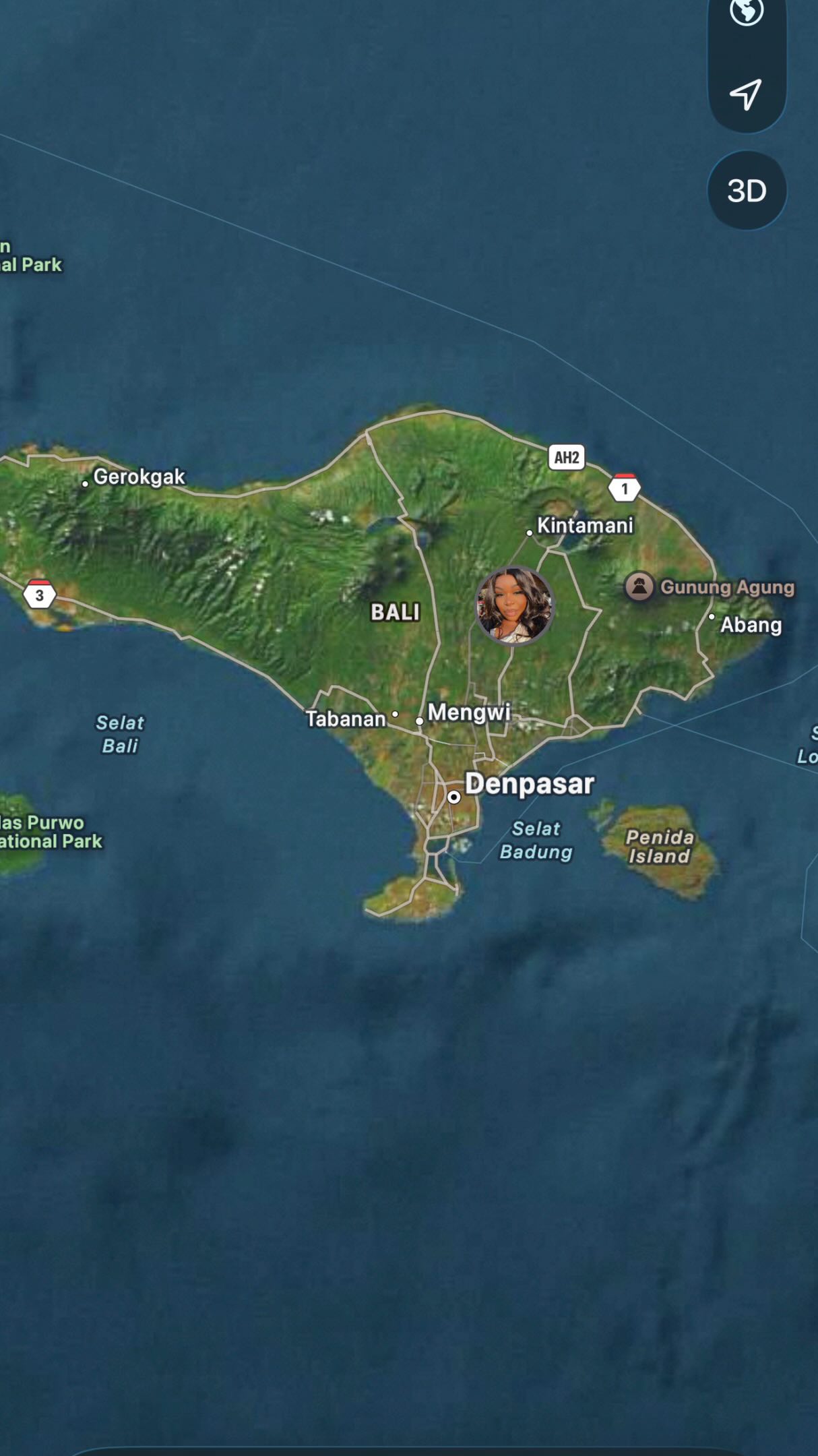 Bali's Top Tourist Attractions and Experiences