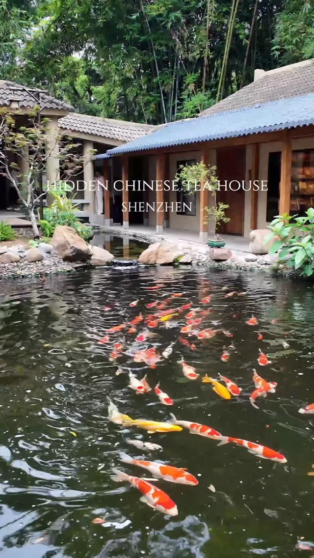 Quiet Tea House in Shenzhen's Caitian Park