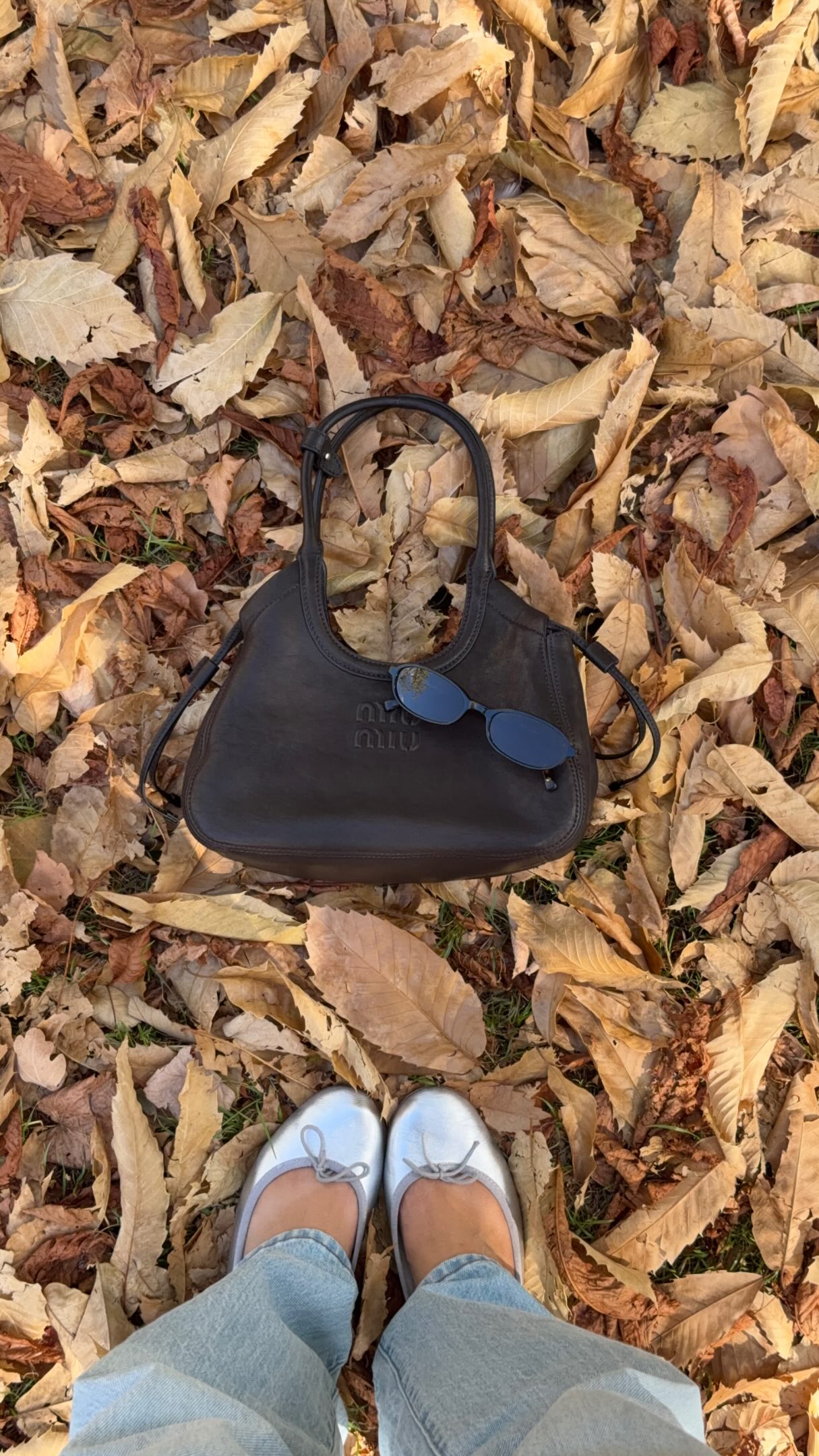 Discovering Repetto's Unique Charm
