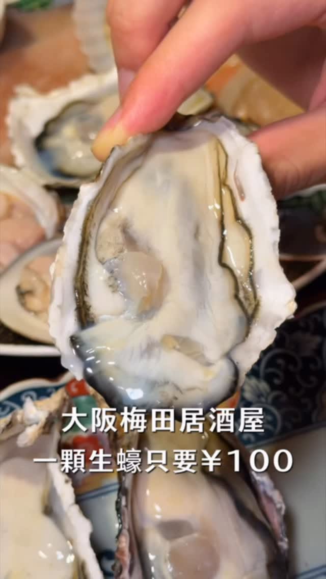 Oyster Bar Offers Affordable Seafood in Osaka