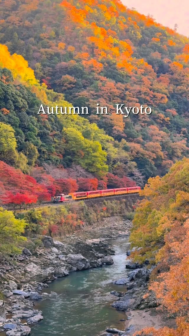Beautiful Autumn Foliage Spots in Kyoto