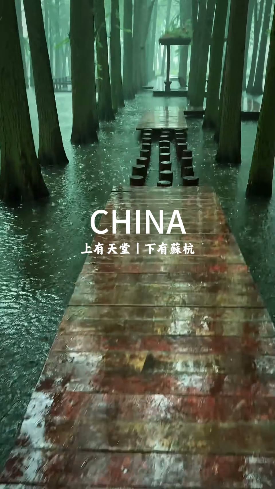 Zhejiang's Lakeside Temples and Ancient Town
