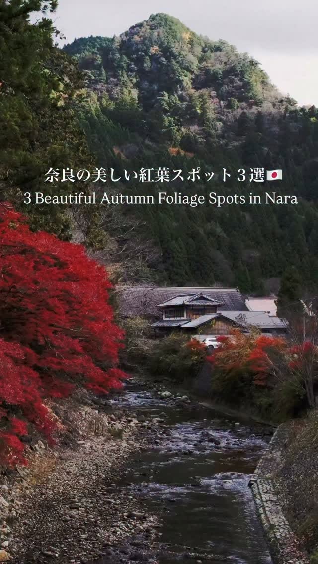 Nara's Top Autumn Foliage Viewing Spots