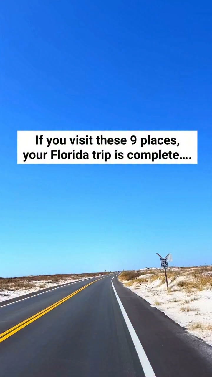 Explore Florida's Natural Wonders and Gardens
