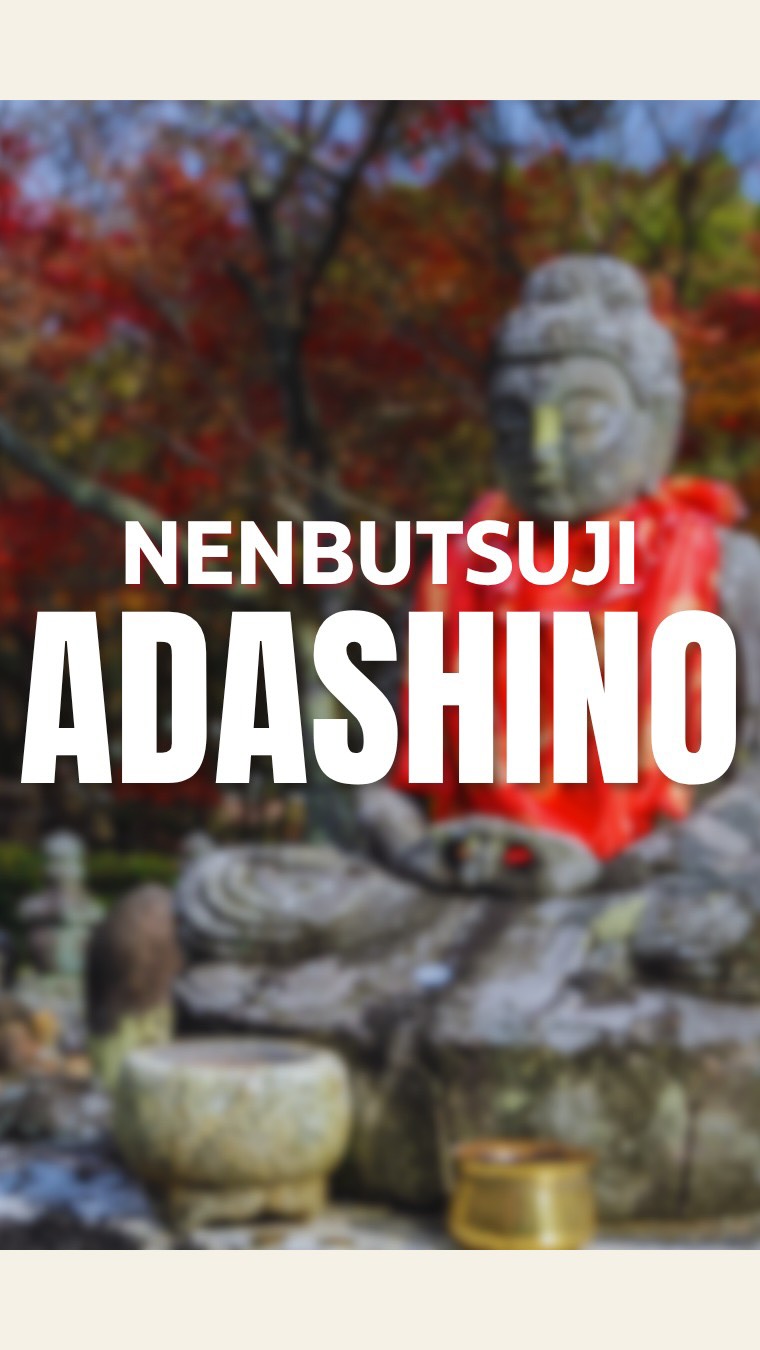 Kyoto's Serene Temples And Bamboo Forests