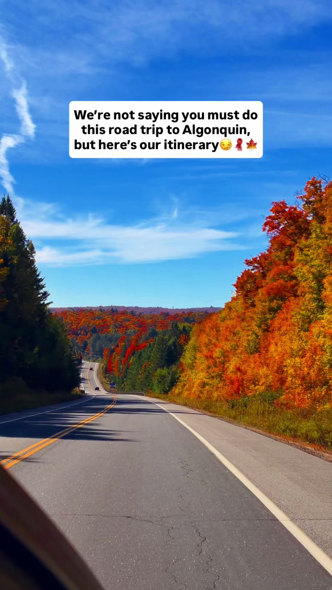 Algonquin Park Fall Road Trip Itinerary