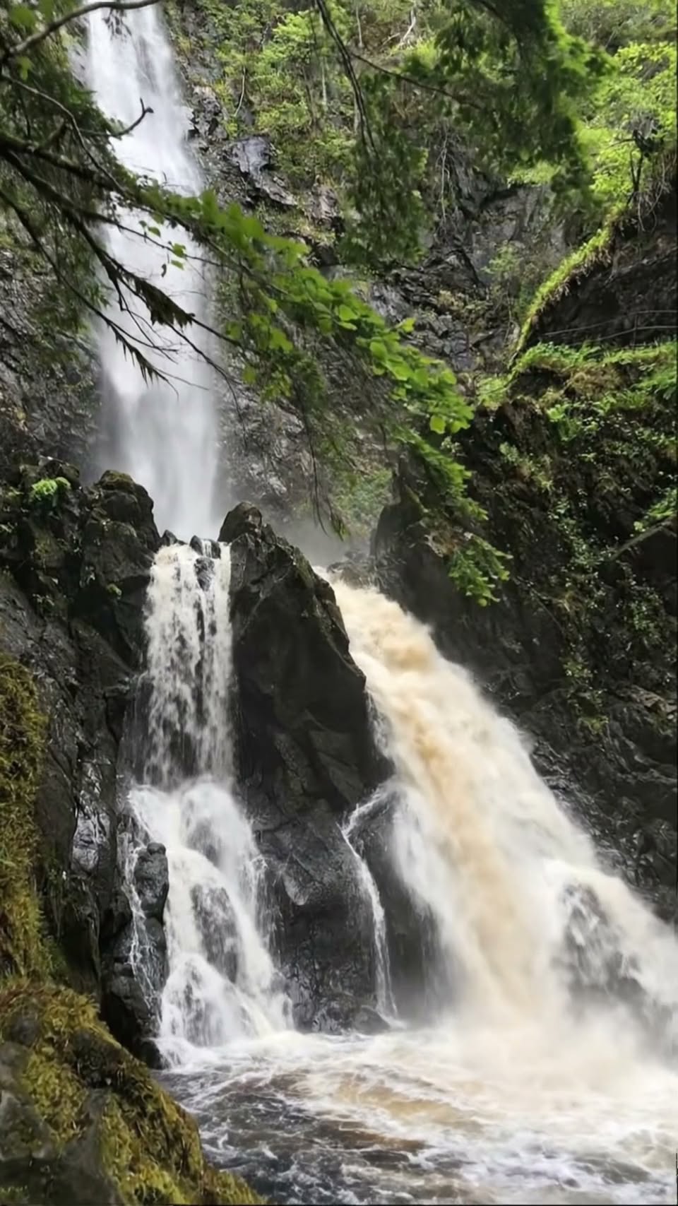 Scotland's Tallest Waterfall And Forested Glen