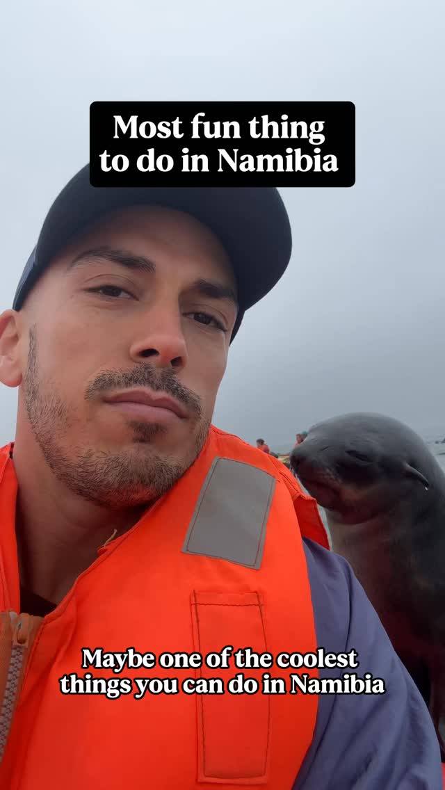 Walvis Bay Kayak Tour Seals