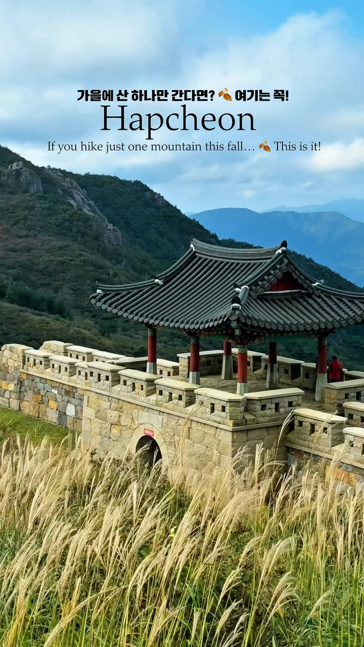 Hwangmaesan Mountain Silver Grass Fields for Autumn