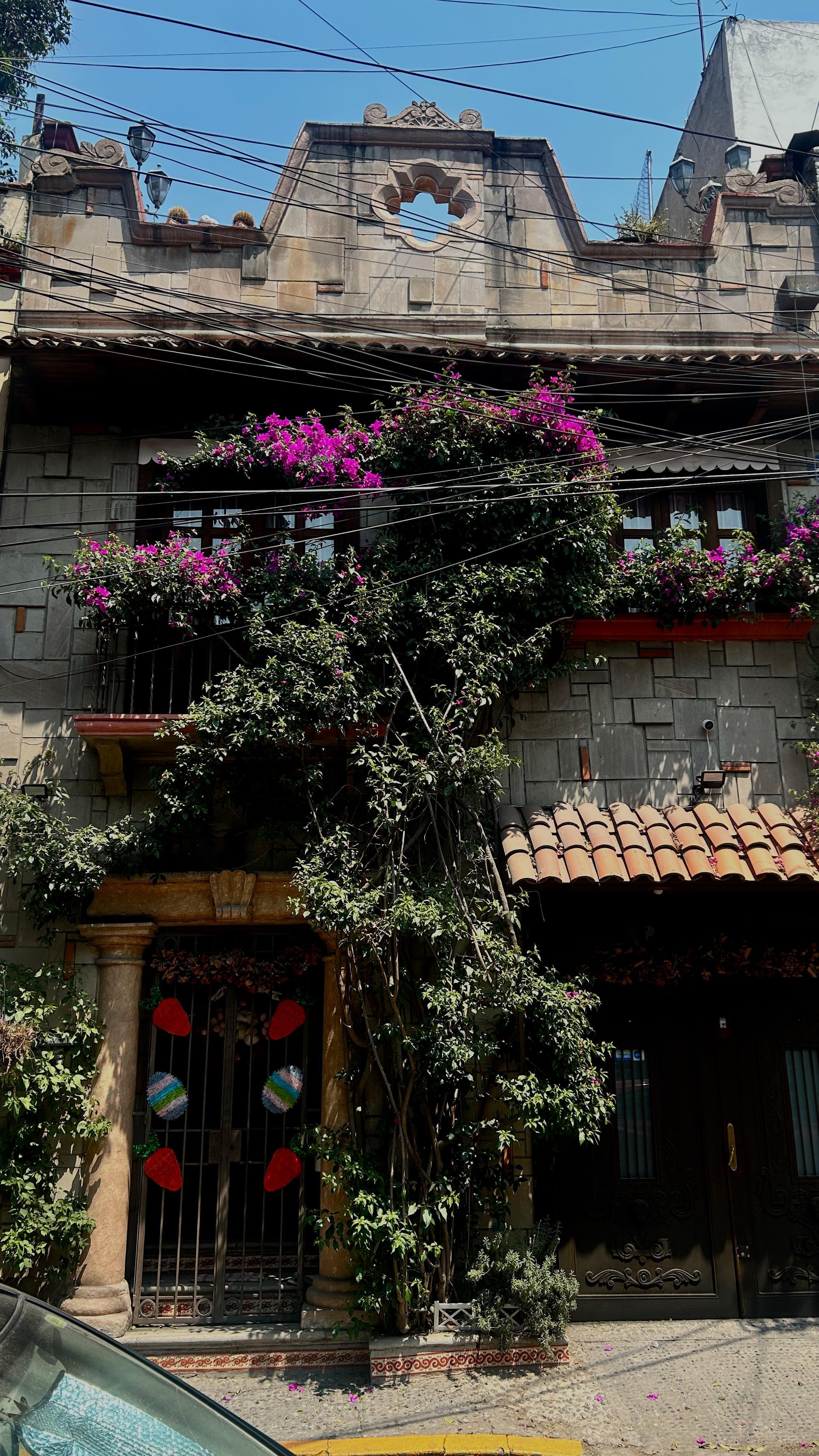 Mexican Restaurant Meal and Cozy Stays
