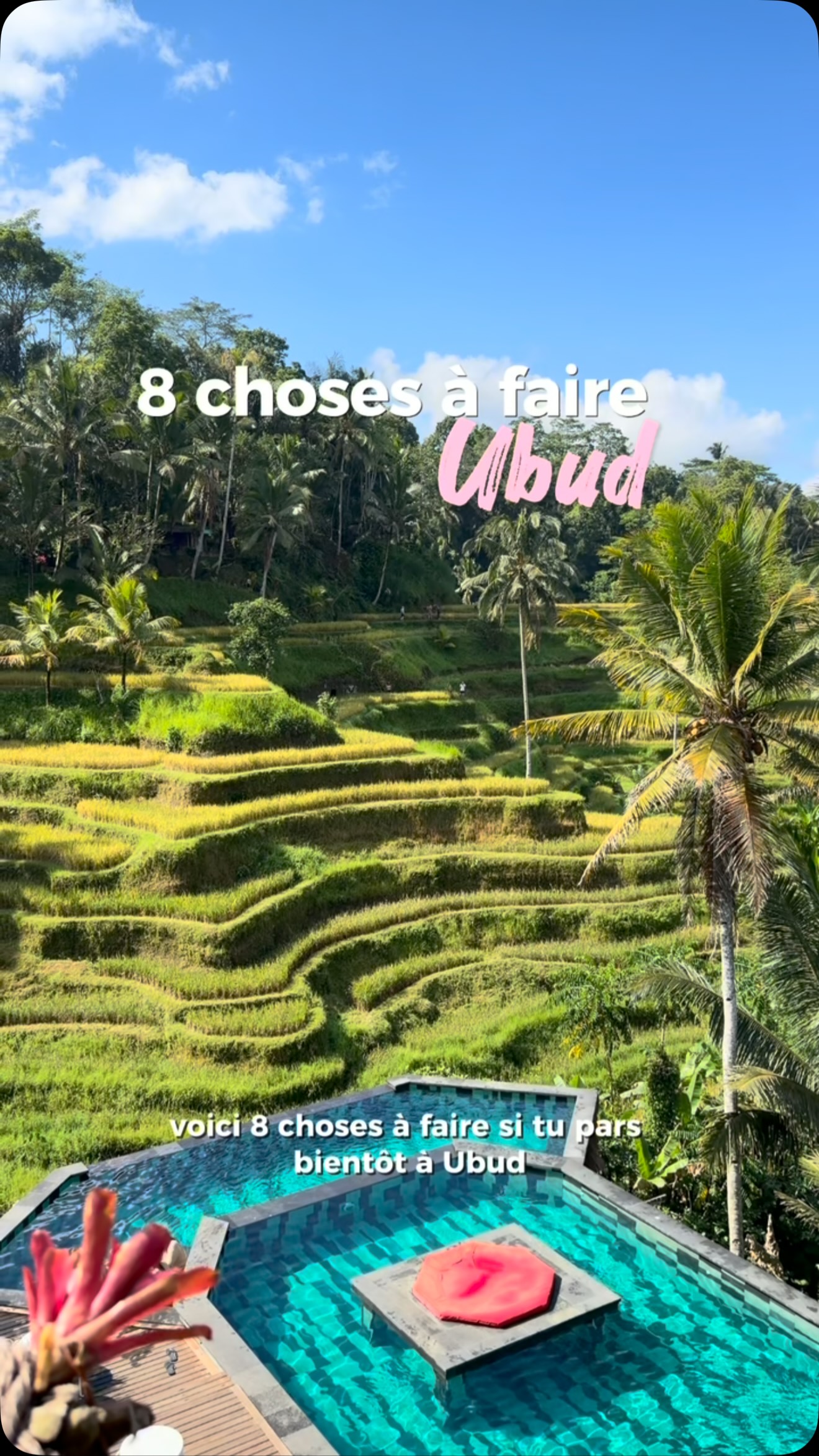 Ubud's Top Activities: Monkey Forest to Mount Batur