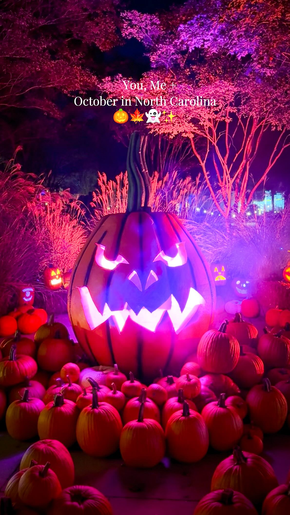 North Carolina's Haunted Farms And Scenic Autumn Drives