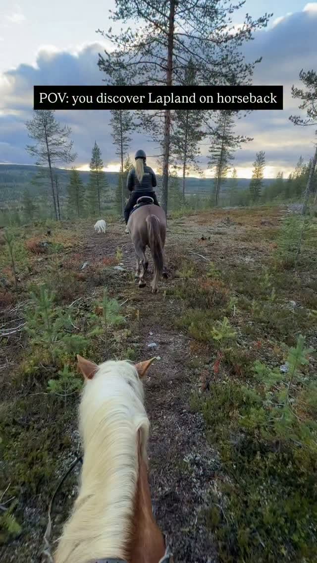 Ranch Offers Finnhorse Trail Rides In Lapland