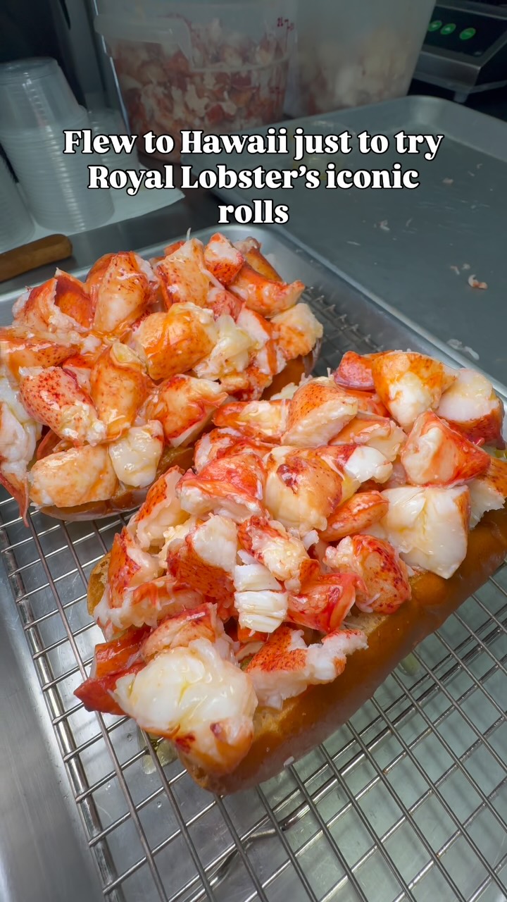 Royal Lobster: A Seafood Destination