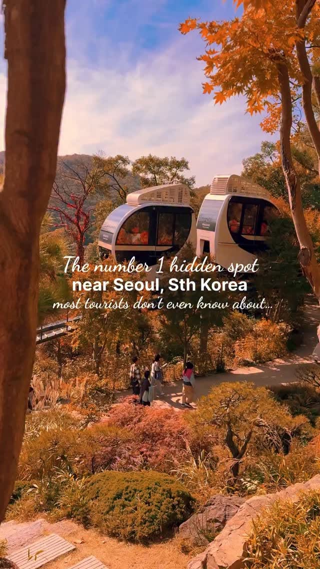 Hwadam Forest: A Beautiful Korean Nature Escape