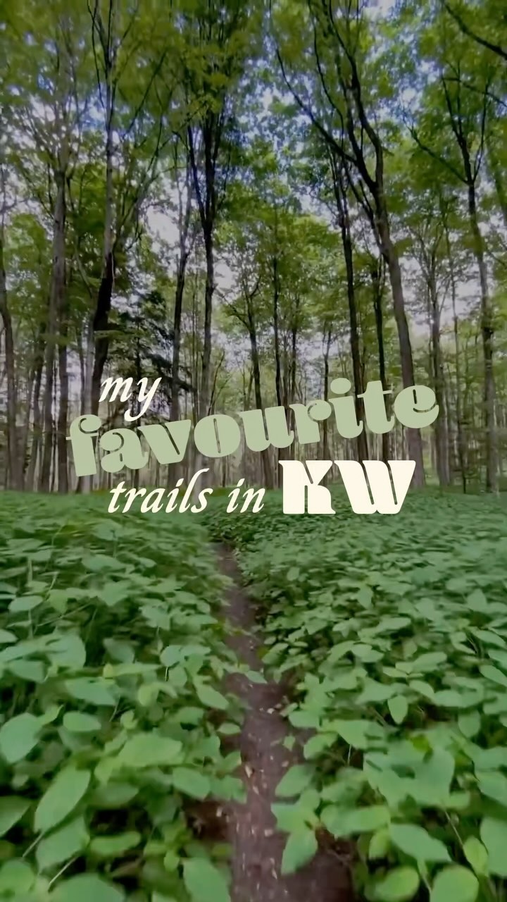 Easy Hiking Trails In Kitchener-Waterloo