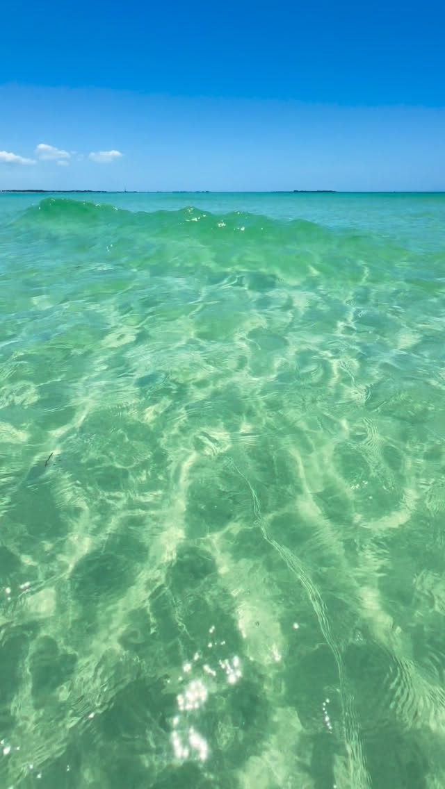 West Coast Florida Beach Among Nation's Best