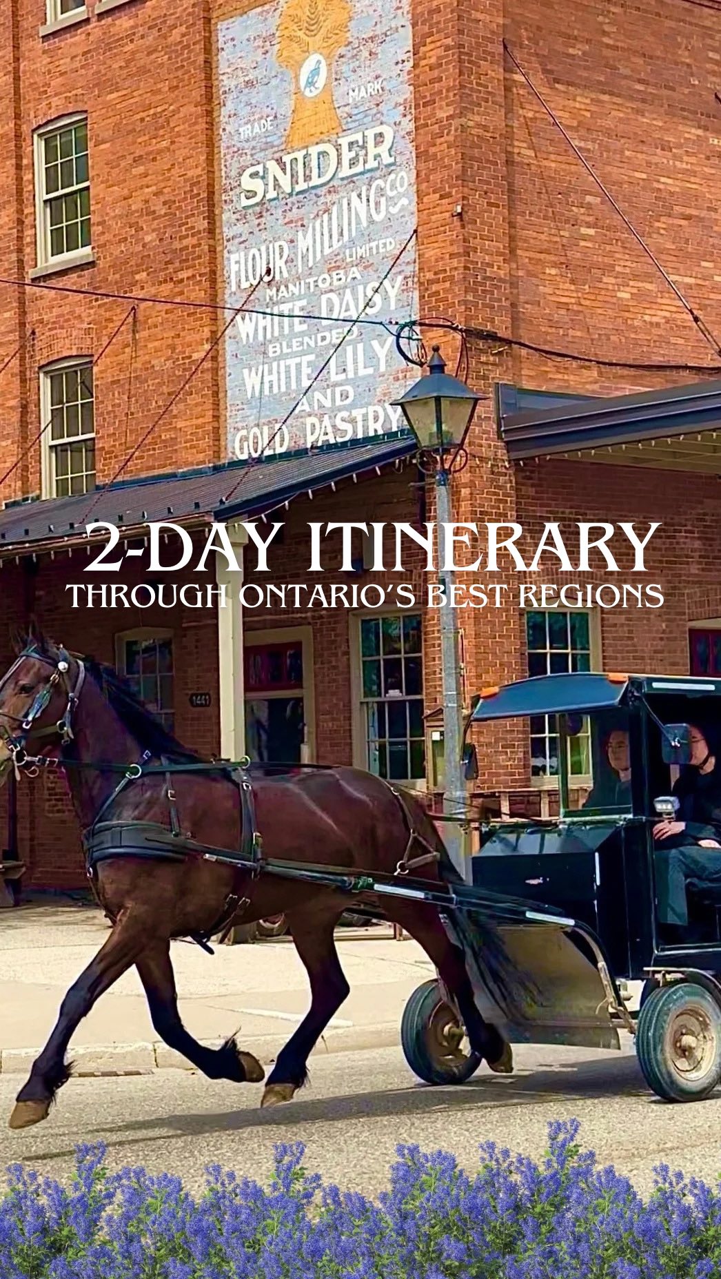 Waterloo Region's Arts, History, and Food Gems