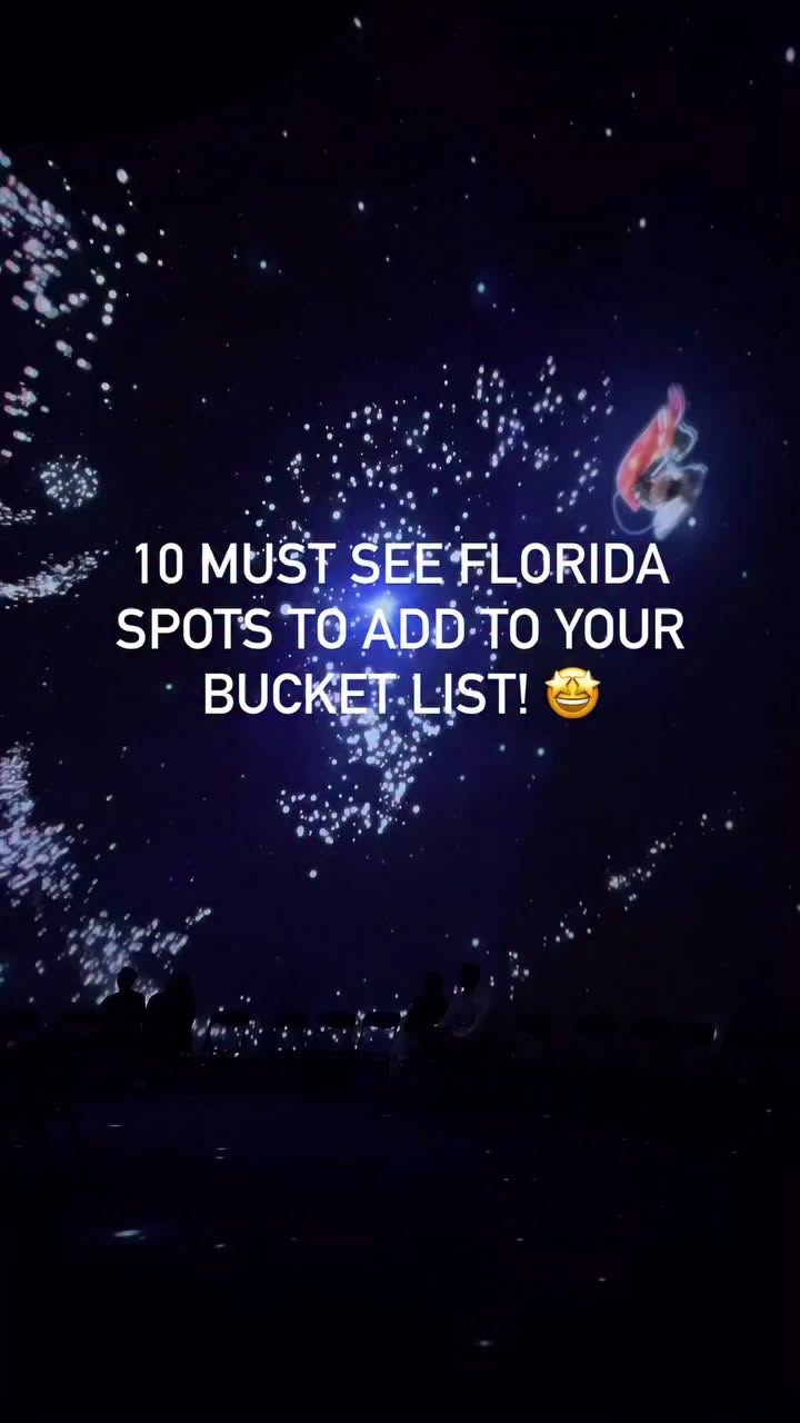 Florida's Diverse Must-See Attractions