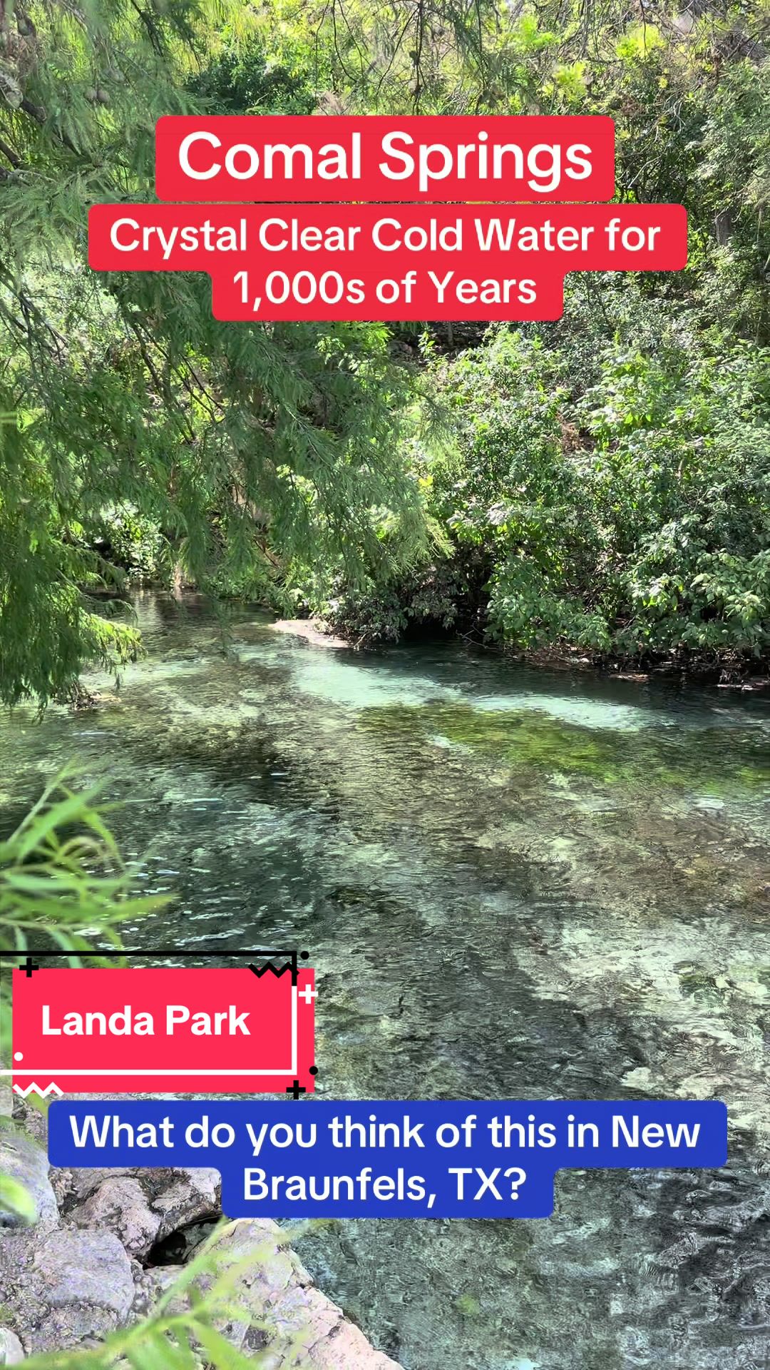 Comal Springs: A Historic Texas Water Source
