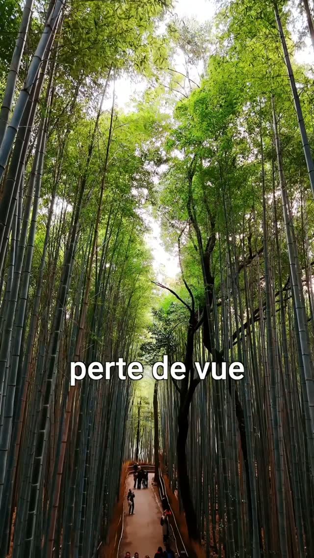 Arashiyama's Serene Alternatives
