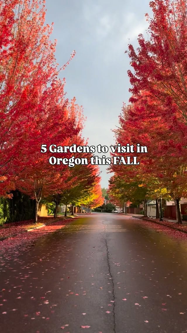 Oregon's Best Gardens For A Fall Visit