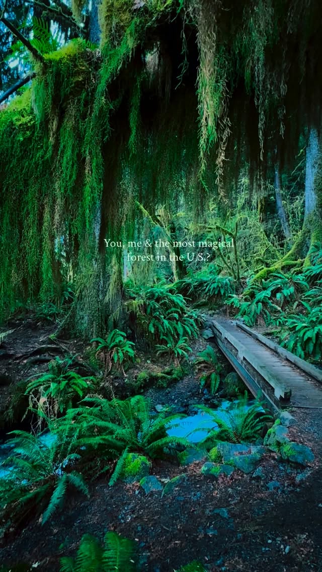Olympic National Park's Enchanting Hoh Rainforest Trails