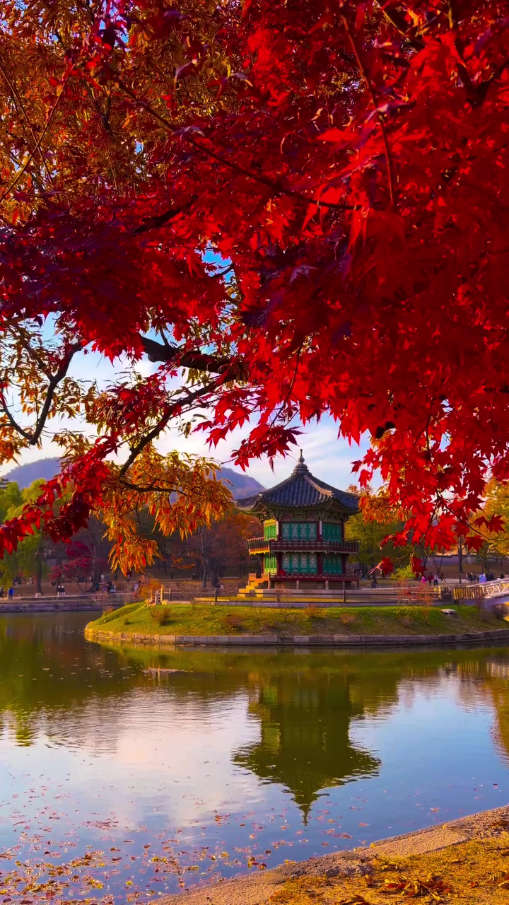 Gyeongbokgung Palace: A Historic Korean Royal Residence