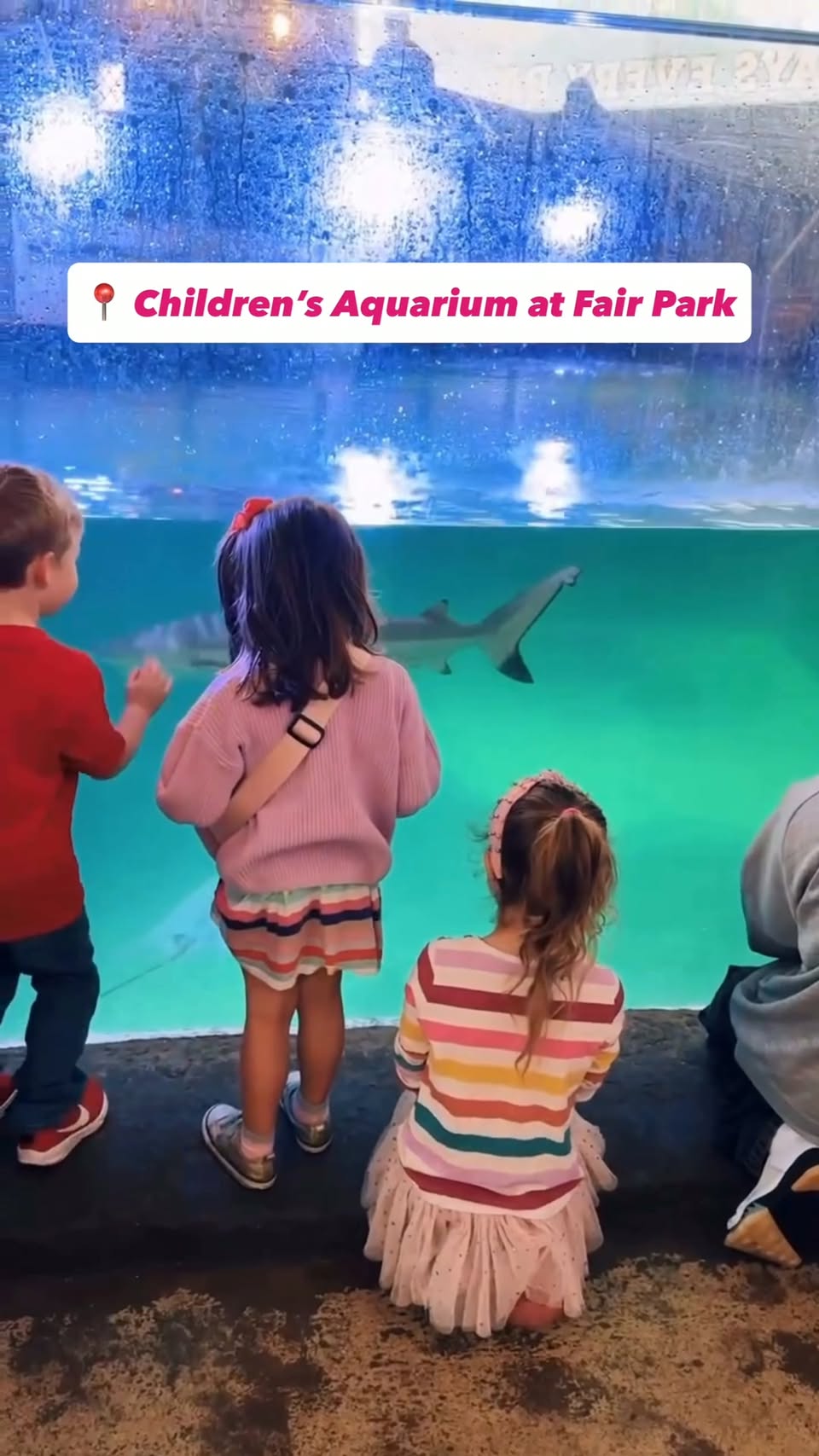 Children's Aquarium Dallas Features Interactive Exhibits