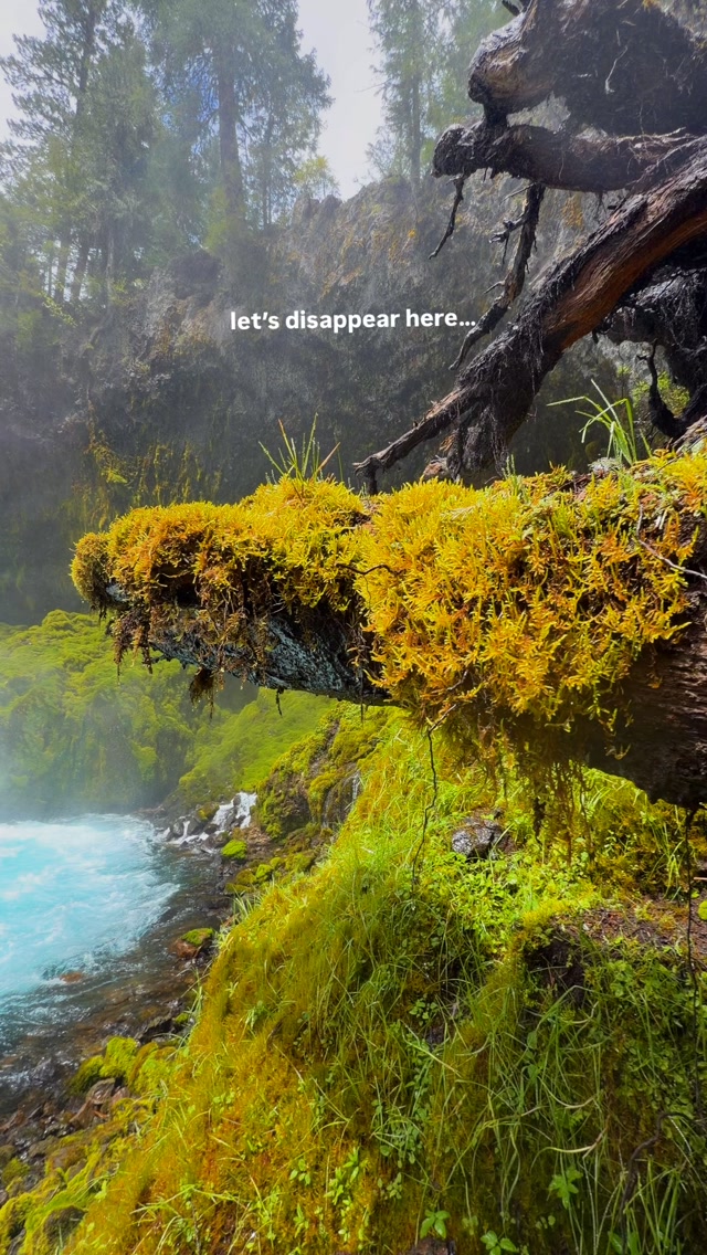 Koosah Falls: A Natural Escape