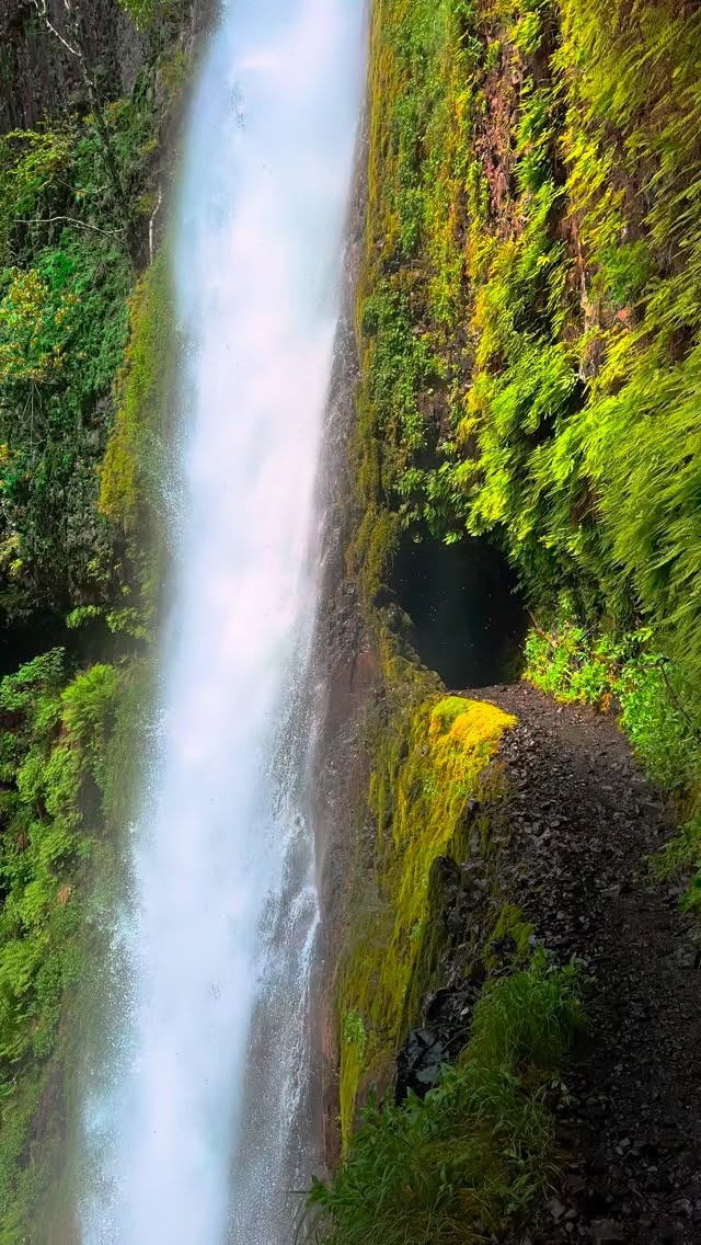 Tunnel Falls: Hike Behind Oregon's Rainforest Waterfall