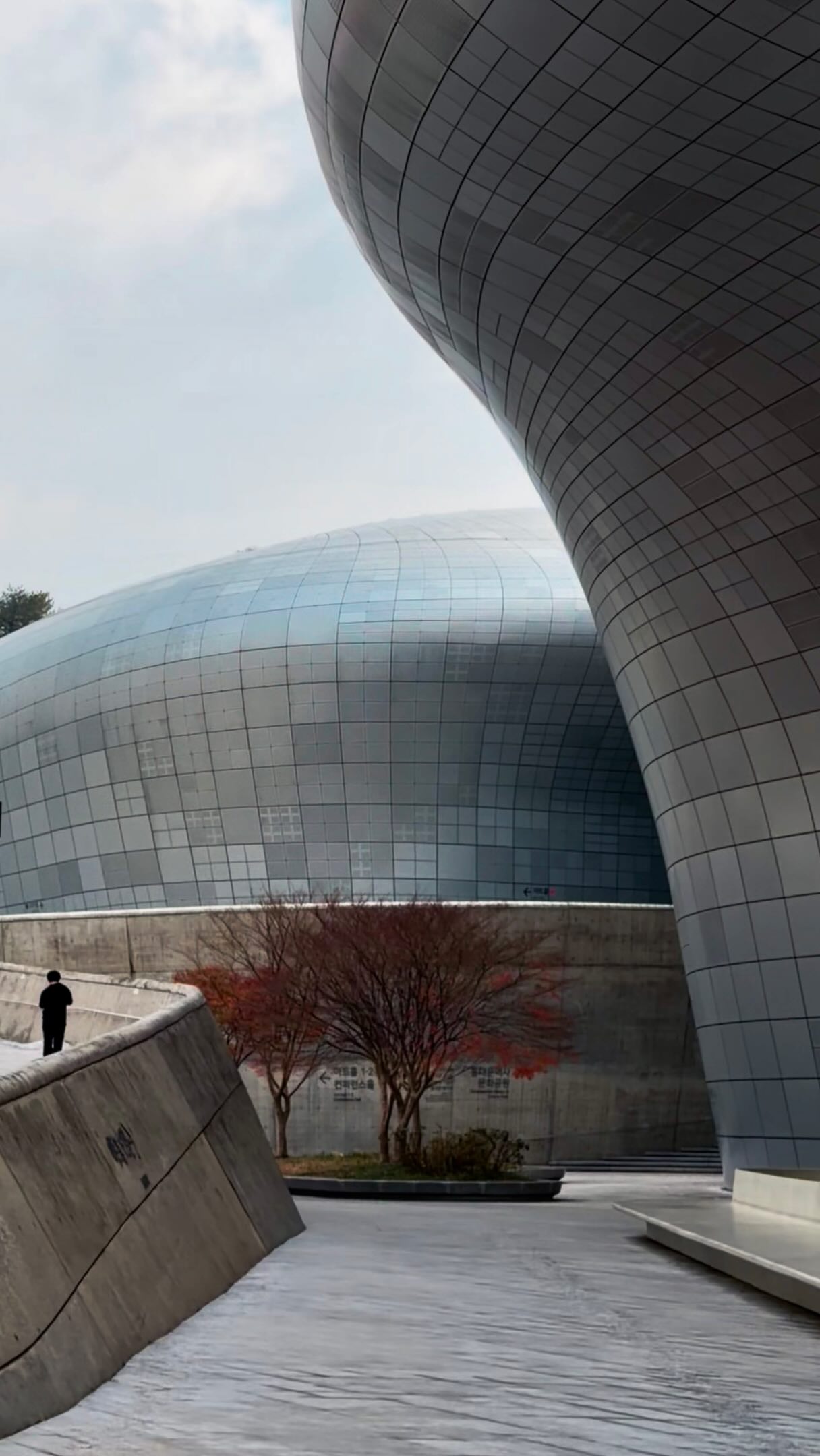 Dongdaemun Design Plaza's Futuristic Architecture