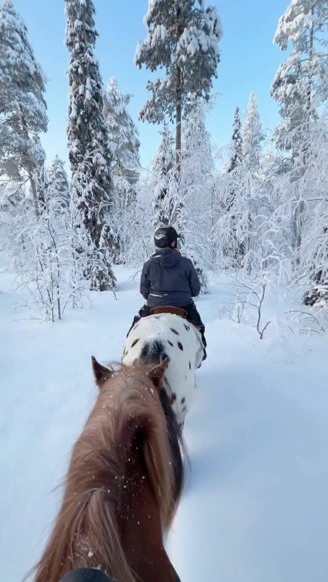 Lapland: A Winter Wonderland