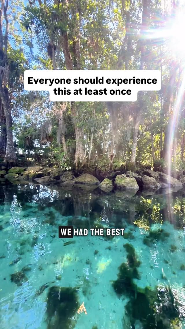 Crystal River & Three Sisters Springs Kayak Adventure