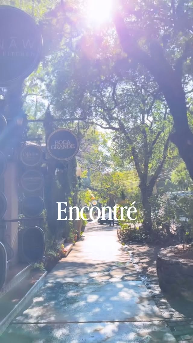 Wellness Retreats In Polanco, Mexico City