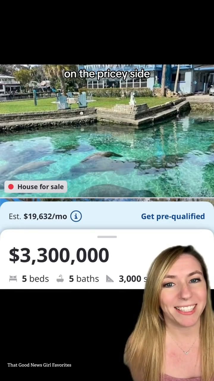 Florida Home Offers Backyard Manatee Encounters