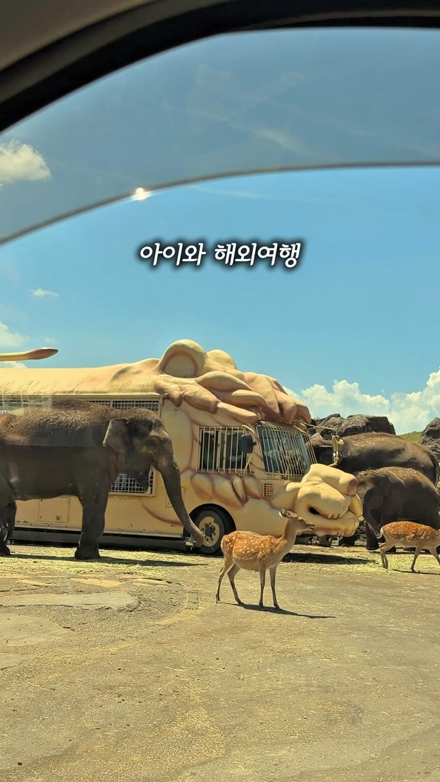 Family Trip to Japan's Diverse Attractions