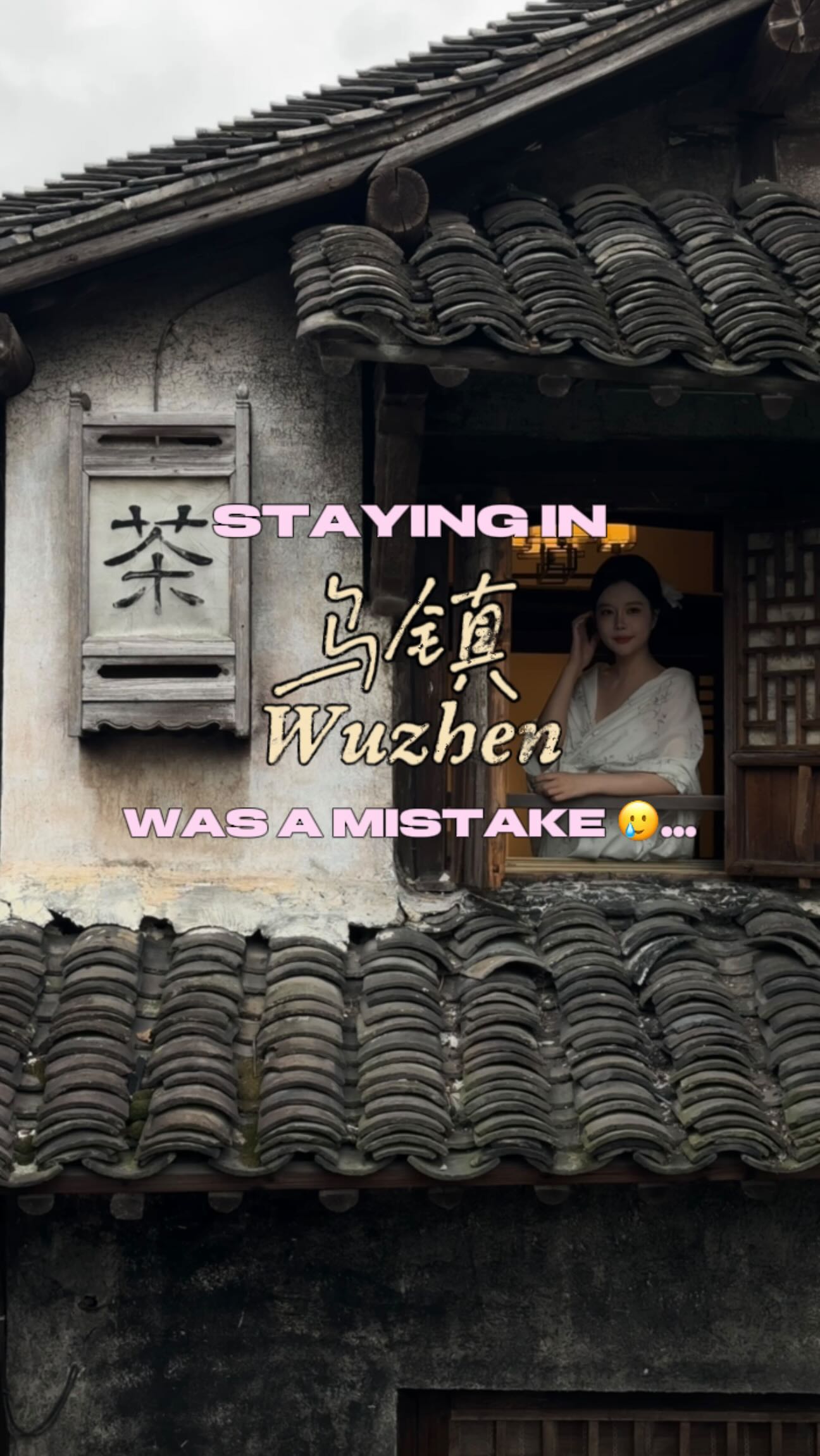Wuzhen's Nightlife and Daytime Charm