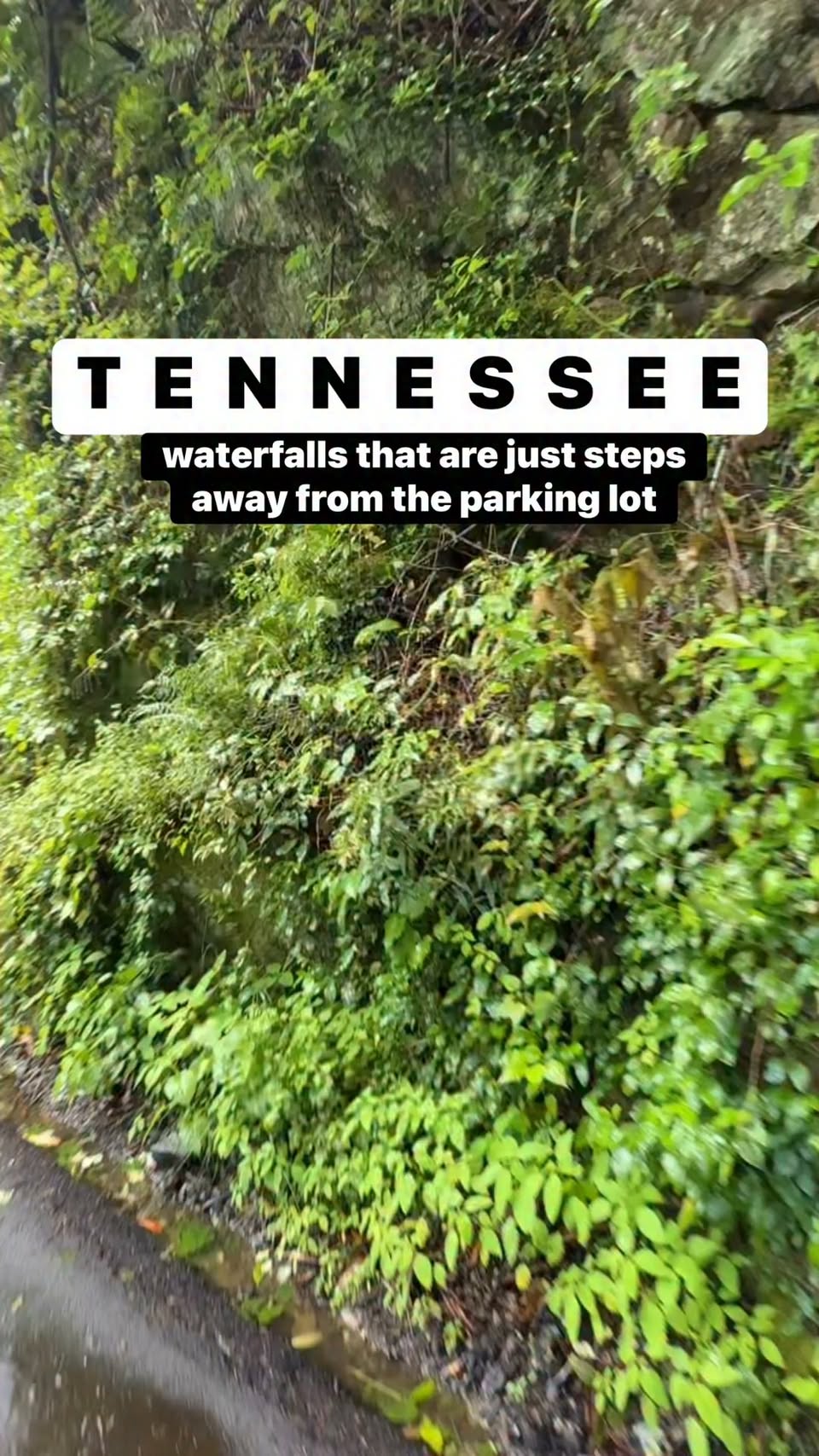 Accessible Waterfalls To Visit In Tennessee