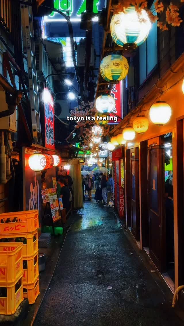 Tokyo's Lively Nightlife Captured in Video
