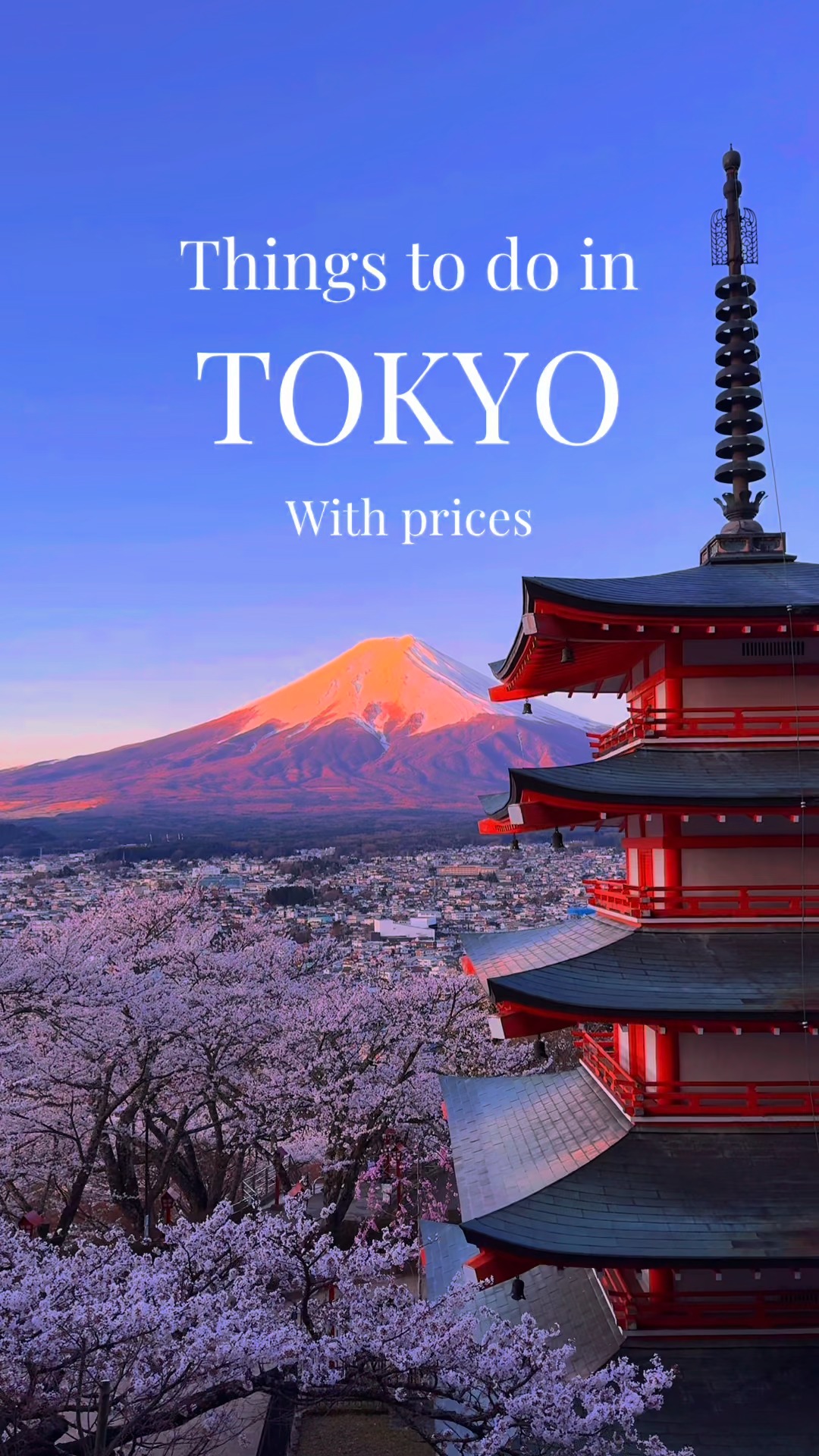 Tokyo's Top Attractions: Scramble, Temple, and Sky Views