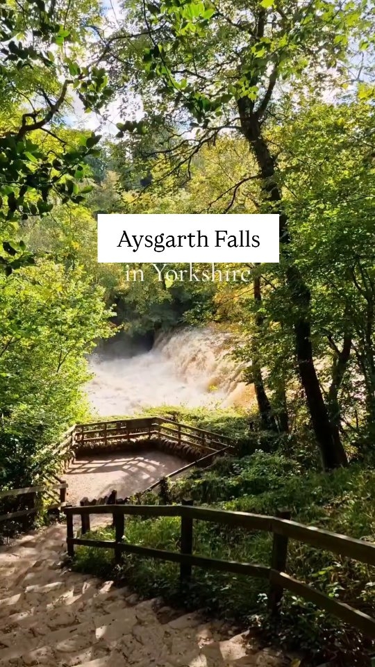 Yorkshire Waterfall Walk: Aysgarth Falls