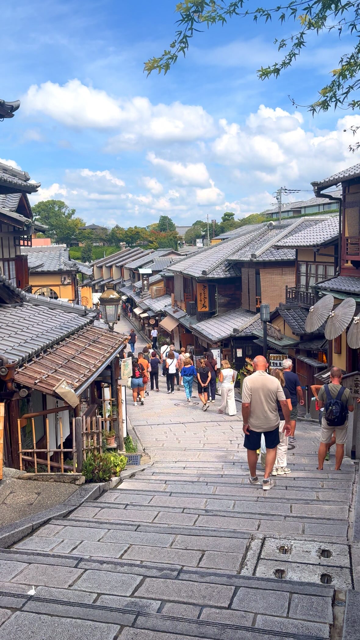 Kyoto's Top Three Scenic Photo Destinations